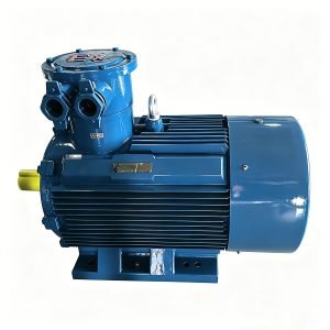 Explosion Proof Motor
