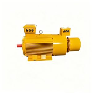 slip ring motor 1