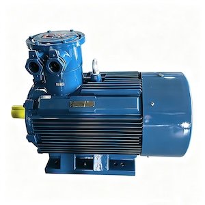 atex motor