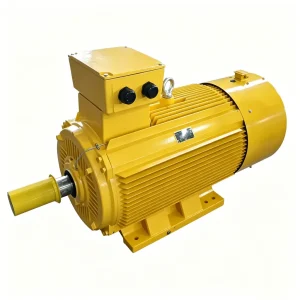 Inverter Duty Motor