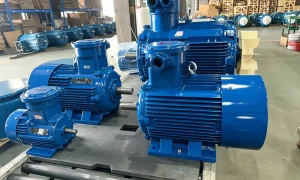 atex explosion proof motor